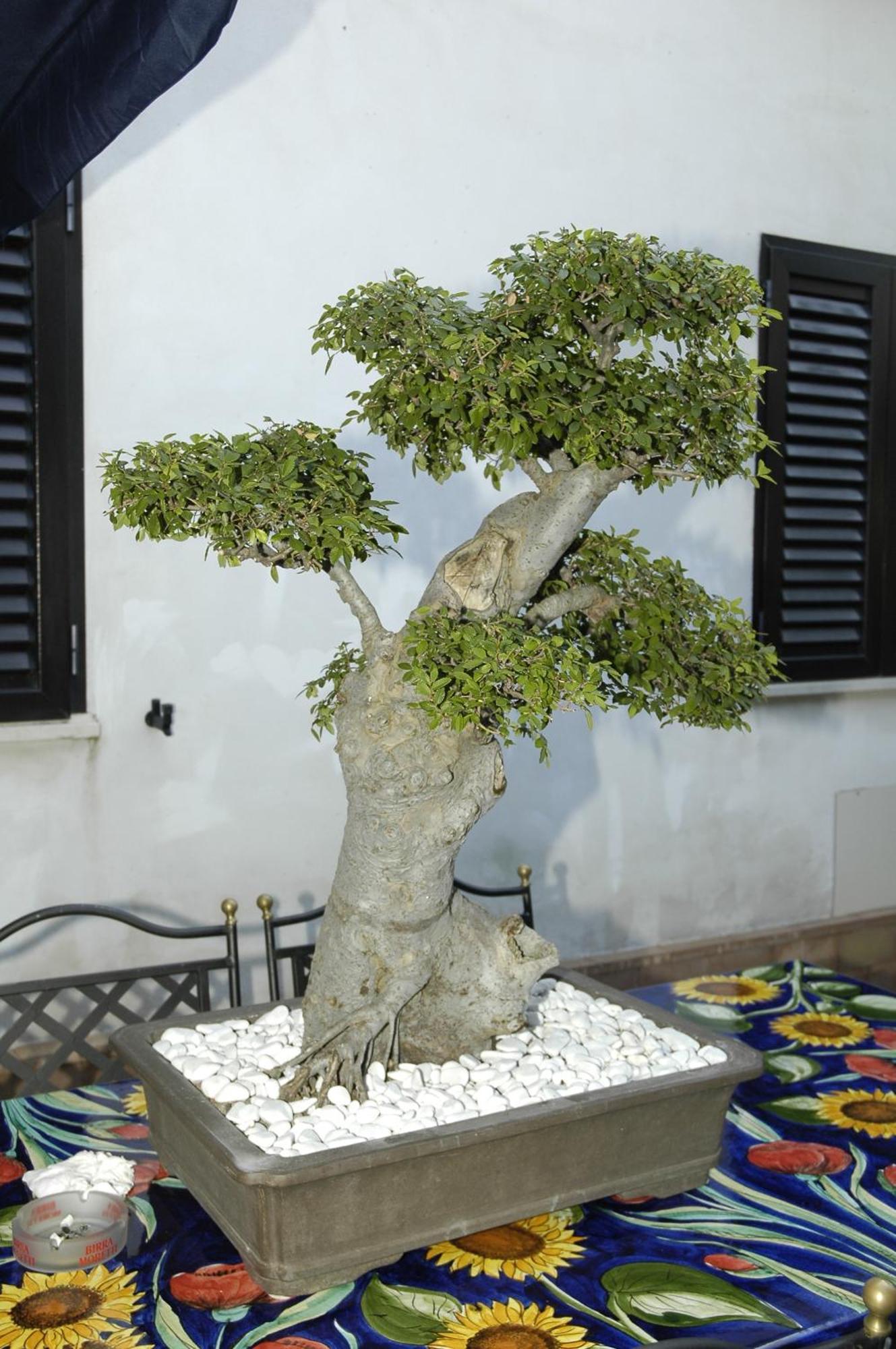 Hotel Blumentag Paola Εξωτερικό φωτογραφία